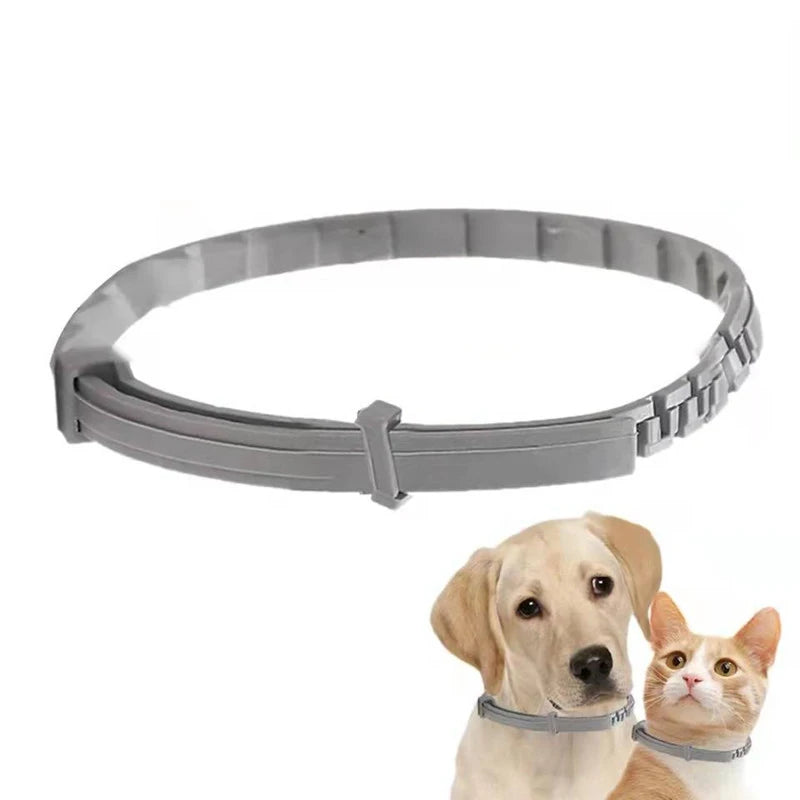 Collier Apaisant Chien ZenPaw™ aux Phéromones - Sérénité Jour & Nuit