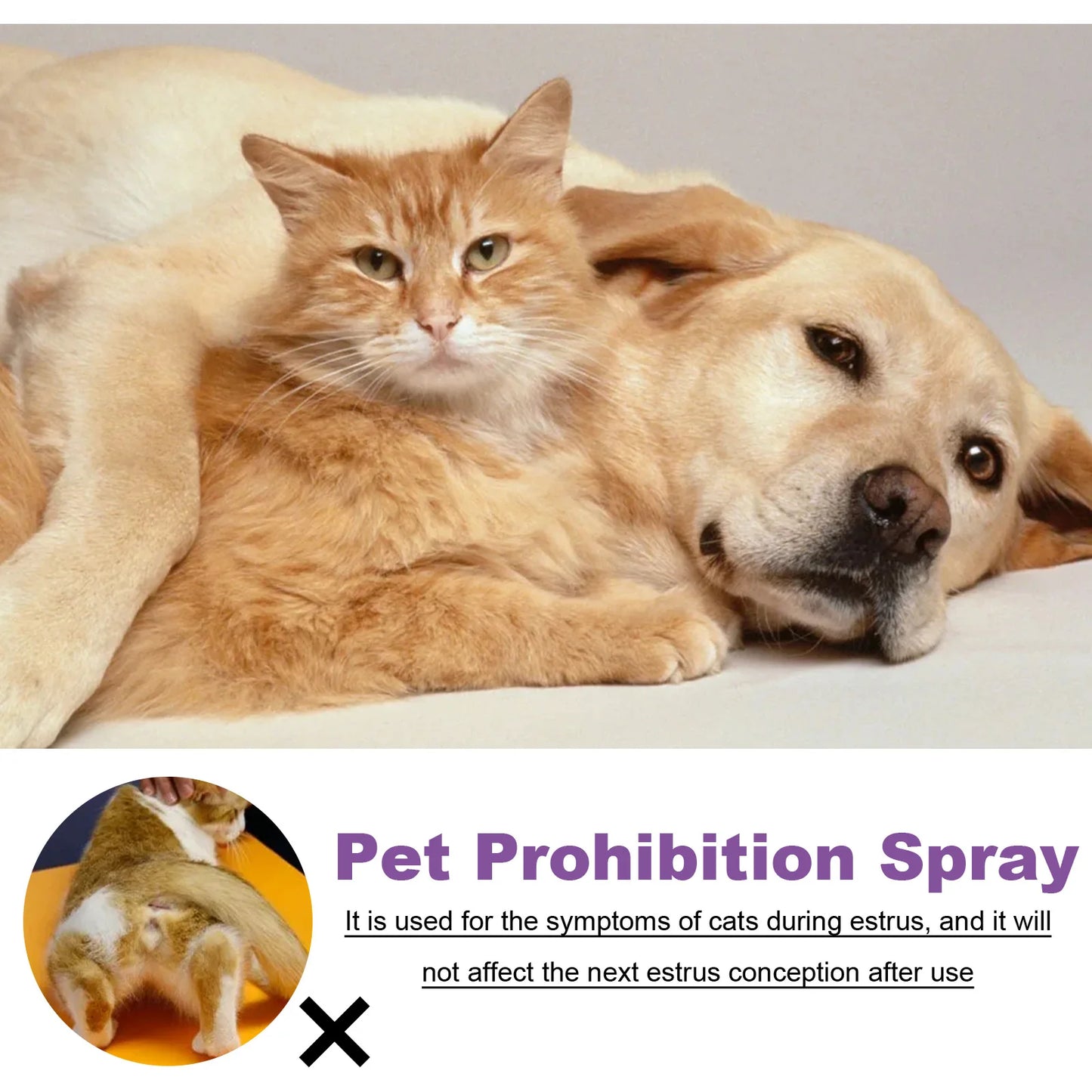 Spray Apaisant aux Phéromones ZenPaw™ - Sérénité & Nuit Paisible