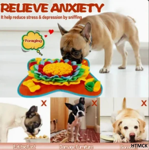 Pack Détente et Occupation ZenPaw pour chien