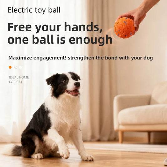 Balle Auto-Roulante ZenPaw™ – Jouet Anti-Ennui pour Chien Serein