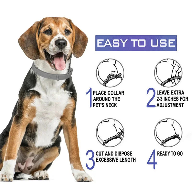 Collier Apaisant Chien ZenPaw™ aux Phéromones - Sérénité Jour & Nuit
