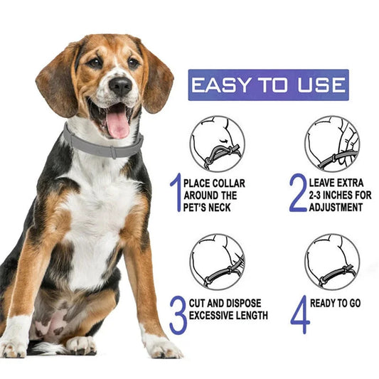 Collier Apaisant Chien ZenPaw™ aux Phéromones - Sérénité Jour & Nuit