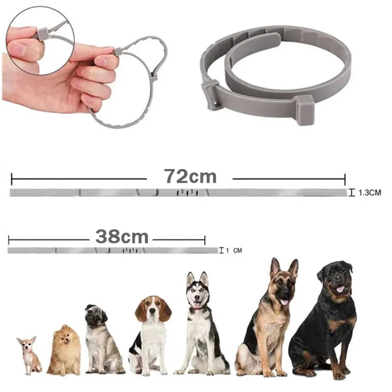 Collier Apaisant Chien ZenPaw™ aux Phéromones - Sérénité Jour & Nuit