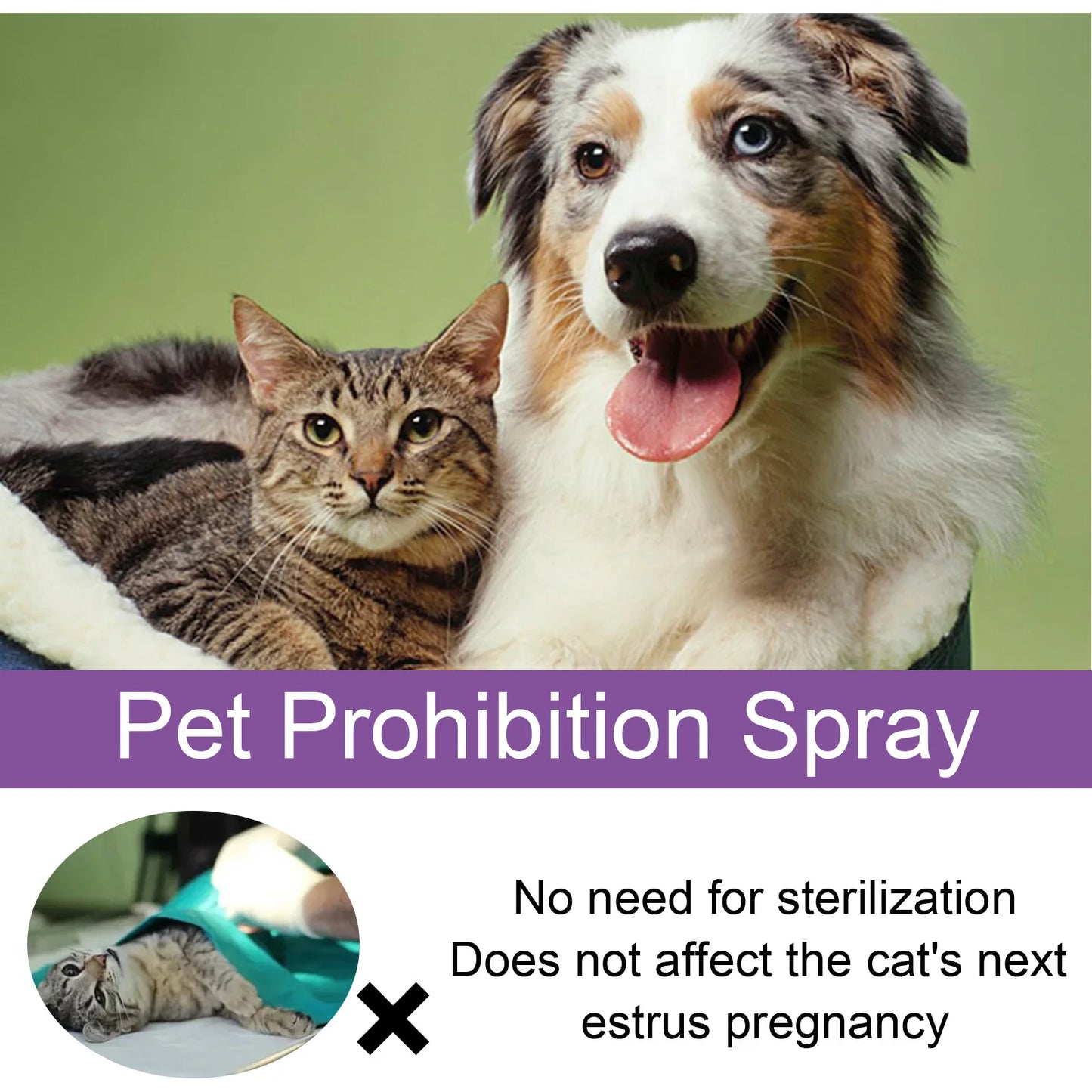 Spray Apaisant aux Phéromones ZenPaw™ - Sérénité & Nuit Paisible