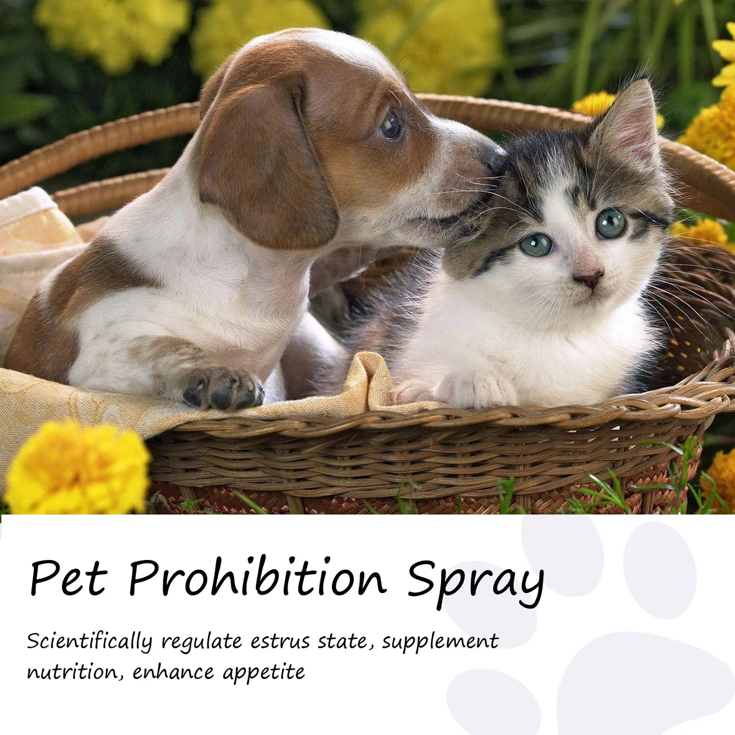 Spray Apaisant aux Phéromones ZenPaw™ - Sérénité & Nuit Paisible