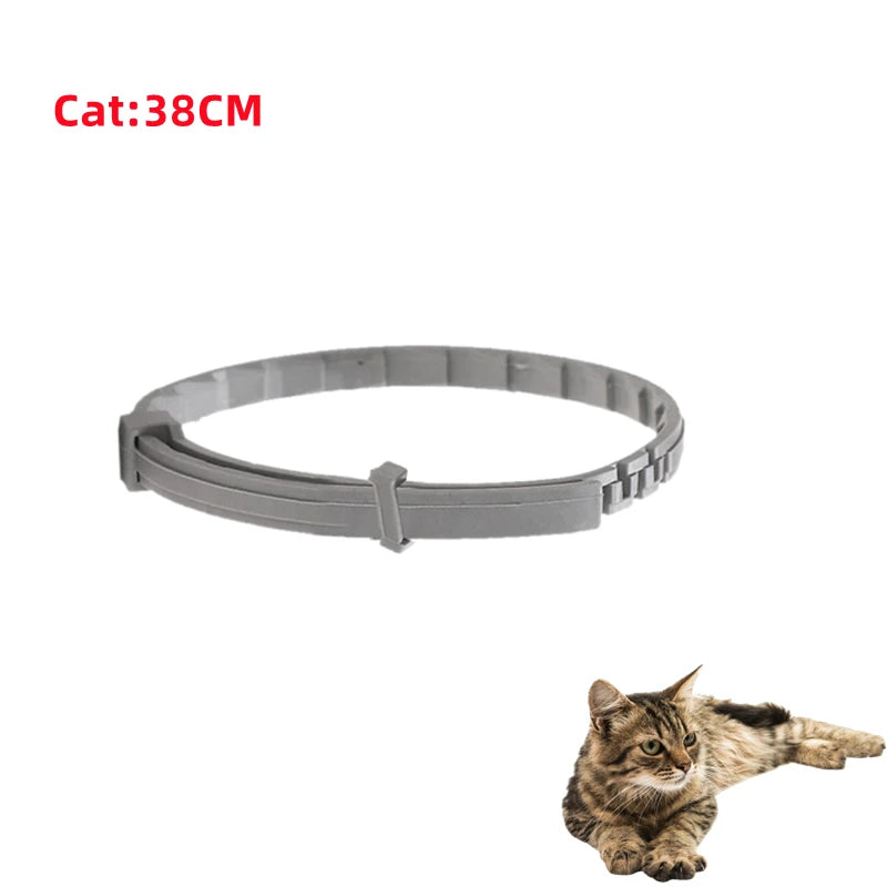 Collier Apaisant Chien ZenPaw™ aux Phéromones - Sérénité Jour & Nuit
